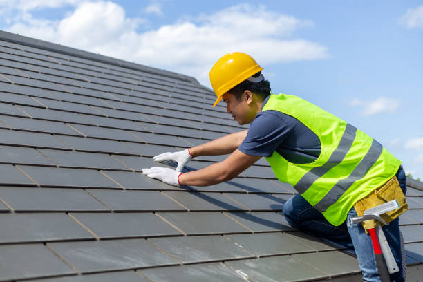 Roof Gutter Cleaning